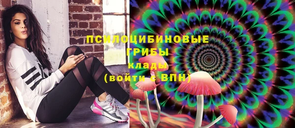 a pvp Алексин
