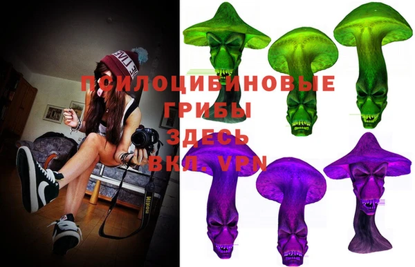 крисы Абаза